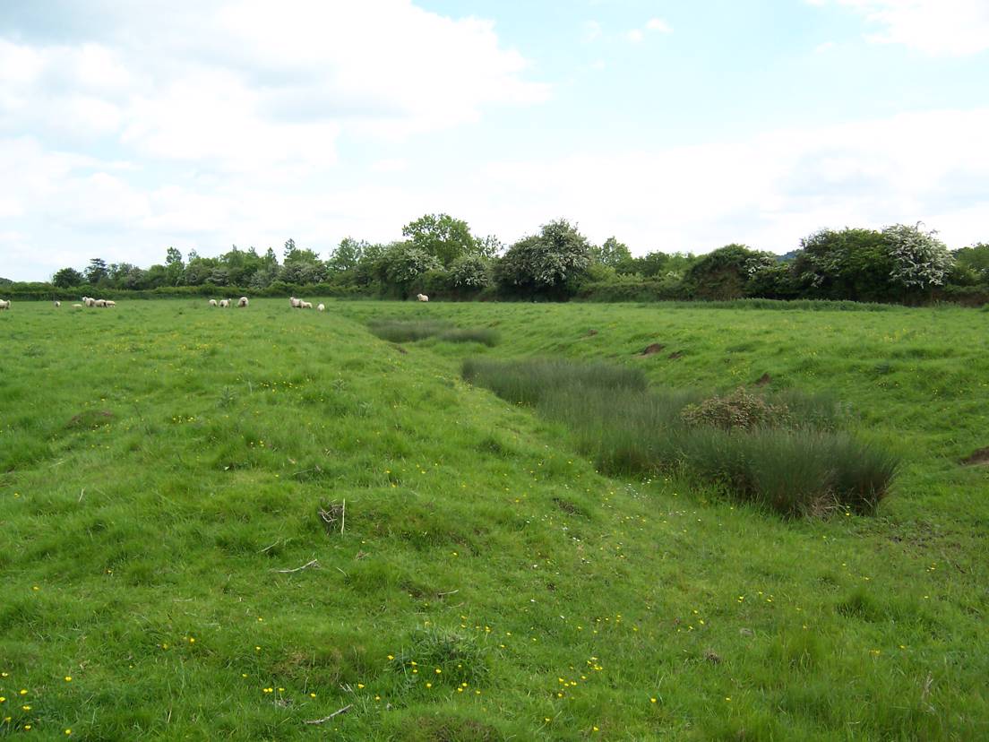 Photo of Medieval earthworks at Ludgershall