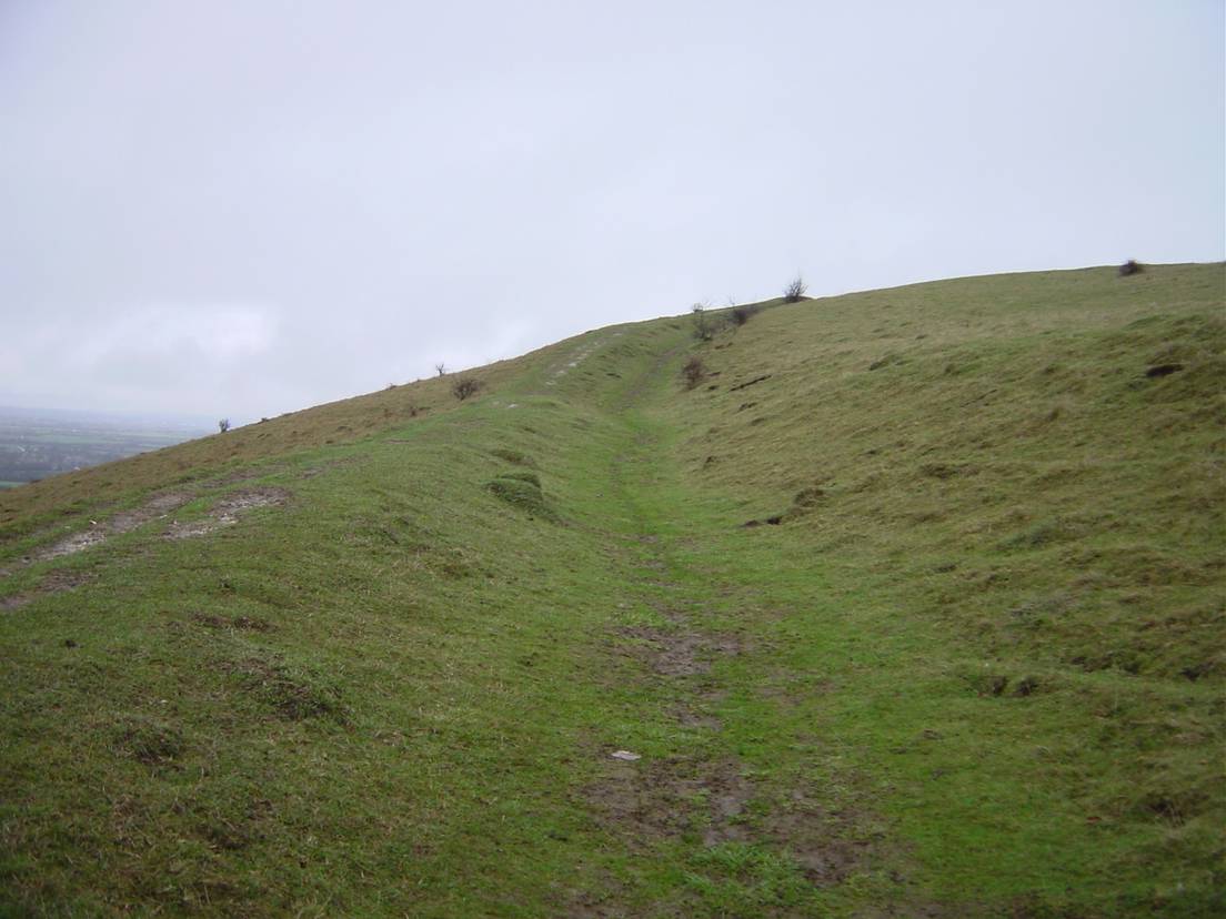 Photo of prehistoric bank and ditch earthworks on Pitstone Hill