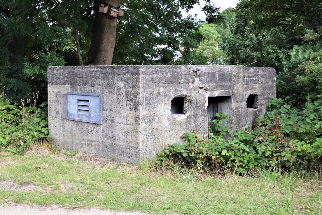 A Second World War pillbox by trees and bushes, next to a car park. It has been refurbished with metal grates on its doors and windows for use as a bat roost.
